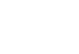TransRapid — home